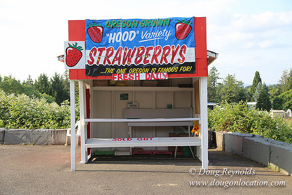 Hood Road Stand-5036