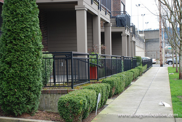 20th Avenue Town Houses-0789