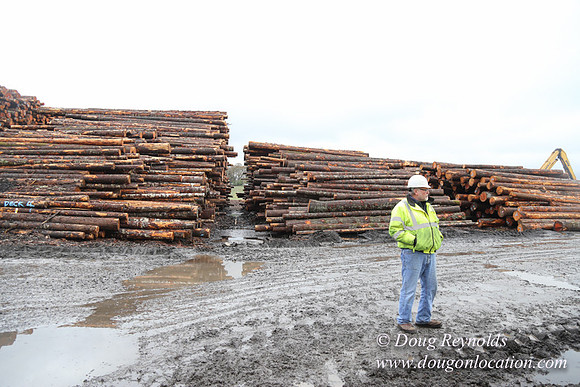 Saw Mill and Lumber Yard