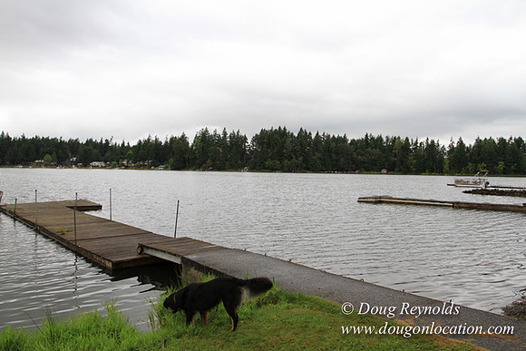 Cabin, Curtis, Dock, Green, Home, Lake, Small, WA, Washington, Yard, Yard, deck