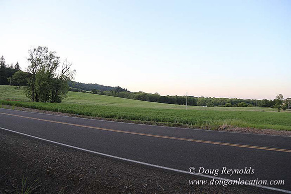 Spring Valley Rd