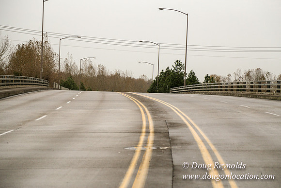 Marine Dr Overpass-5326