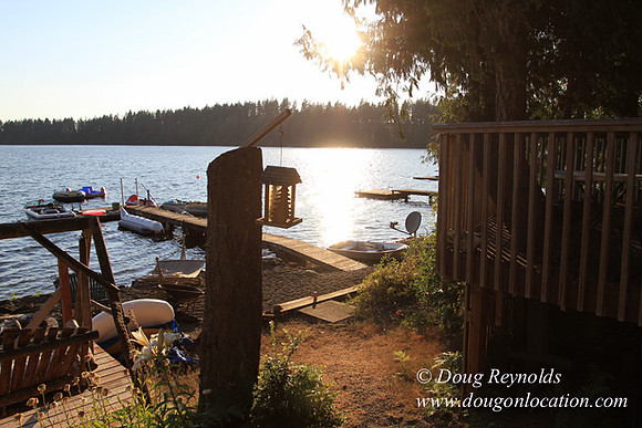 Boat, Cabin, Dock, Home, "House lake", WA, Washington, Yard, deck, "green. Beach"