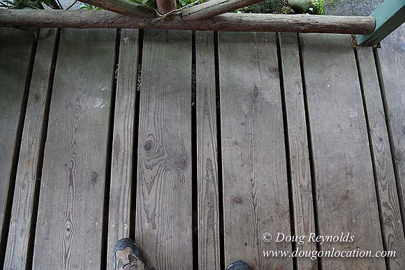 Small, Cabin, Home, River, OR, Oregon, Green, Yard,
