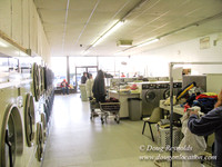 Alpine Laundry Hillsboro4335