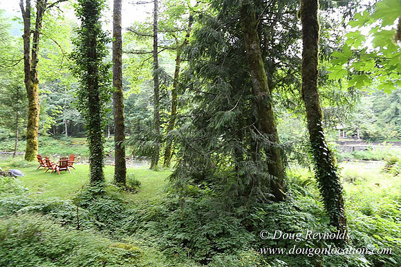 Small, Cabin, Home, River, OR, Oregon, Green, Yard,