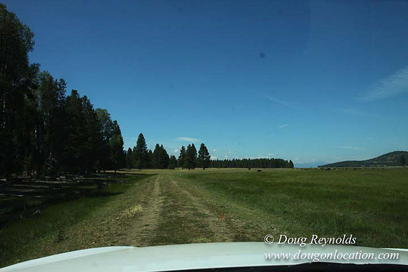 Ranch 18 South side of Hwy  has 2500 Acres of green fields Creeks water crossing Bridges on a Large Lake and miles of Dirt roads Oak trees  Forest land ATV Trails cows