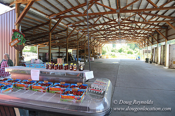 Vahan's Farm & Market-5167