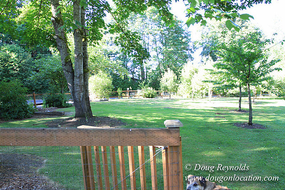 Traditional Style Home small farm with large kitchen great room, 2 story, 2 car garage on Acreage with large back yard, large front yard, garden, pond, deck, goats, bees, shop, PDX Zone