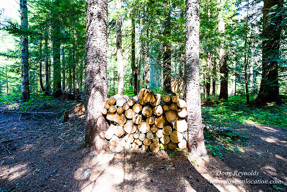 Karri's Cabin