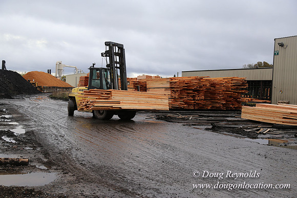 Saw Mill and Lumber Yard