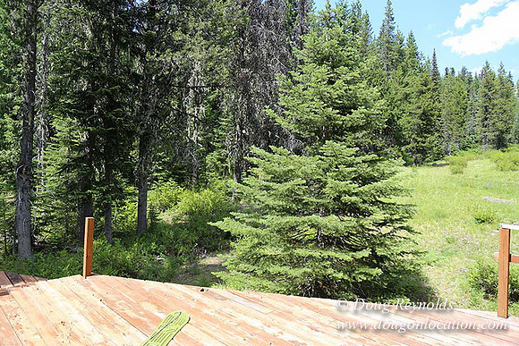 Jerry's Cabin-6674