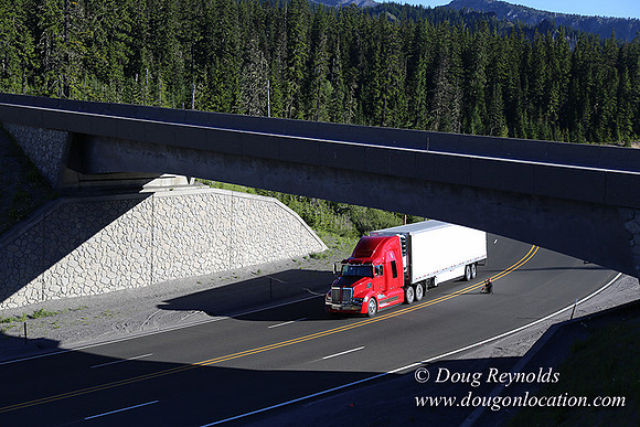 CMD Western Star Production Photo