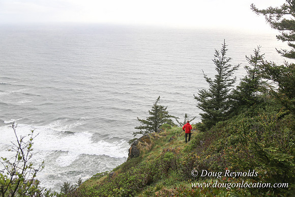 Ross Cape Perpetua-1779