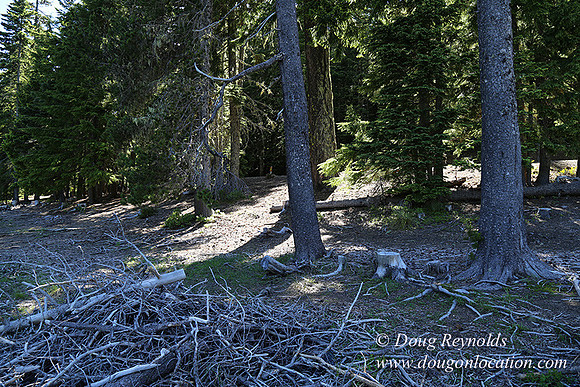 Frog Lake-3453