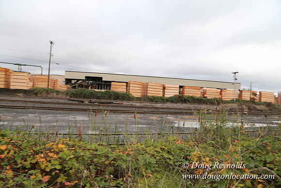Saw Mill and Lumber Yard