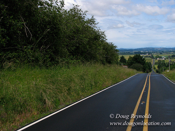 Laurel Hill Road 4850