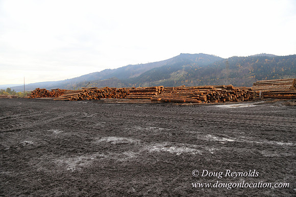 SDS Lumber-1451