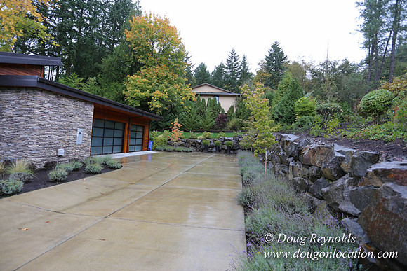 Kathy's House-0417