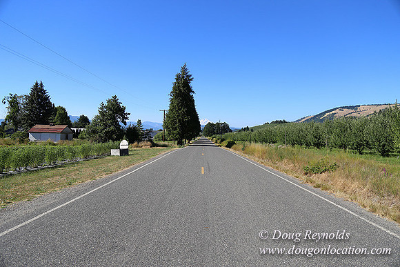 Thompson Rd Farm-8268