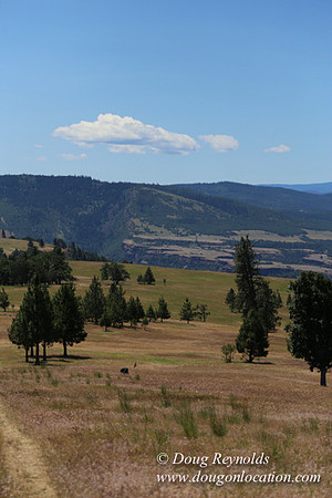 Brothers Ranch-8432