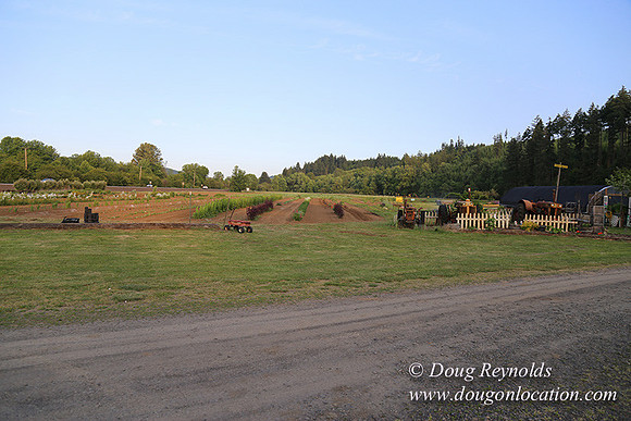 Jim Dandy Farm-5072