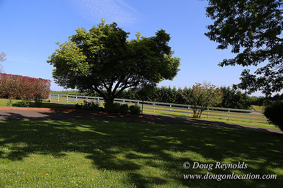 "2 Barns", "2 car garage", "40+ Acres", "PDX Zone", Pool, "White Fence", cows, "farm House", "rap around dive", "well maintained"