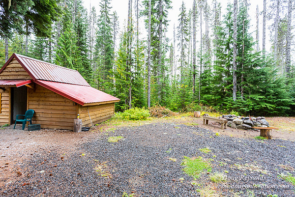 Waynes Cabin
