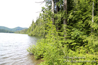 Lost Lake South Side 1-4234