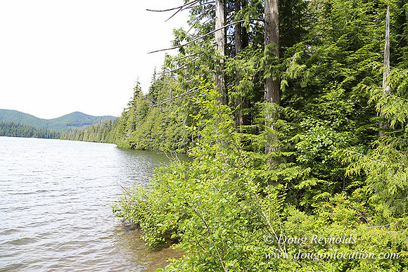 Lost Lake South Side 1-4234