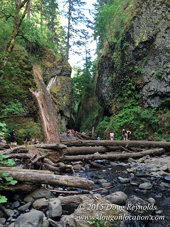 Oneonta Falls