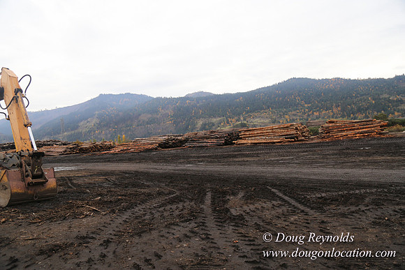 SDS Lumber-1408