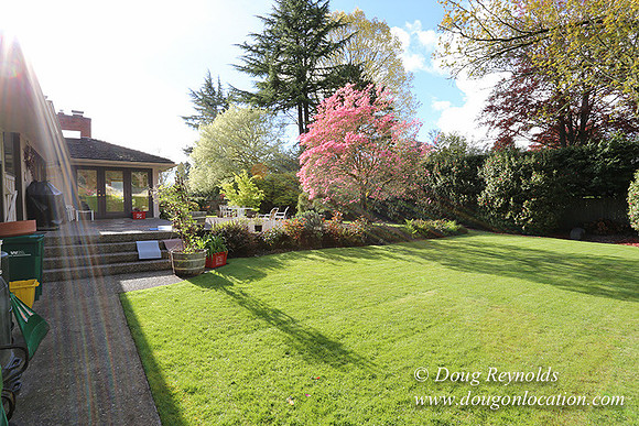 Mid Century Traditional Style Home, With a Basement, 2 car garage average sized Back Yard with Patio