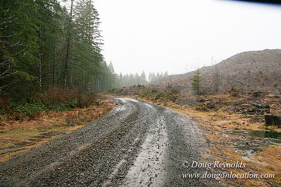 WC Clear Cut 2010-7859