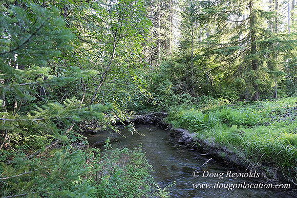 Wayen's Cabin, Home, Creek, Mountain, MT, Oregon, OR, "Fire Pit"