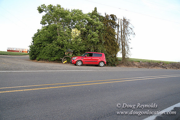 Mountaindale Rd-6437
