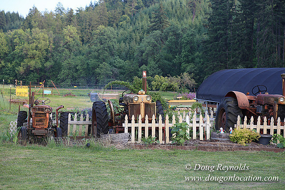 Jim Dandy Farm-5074