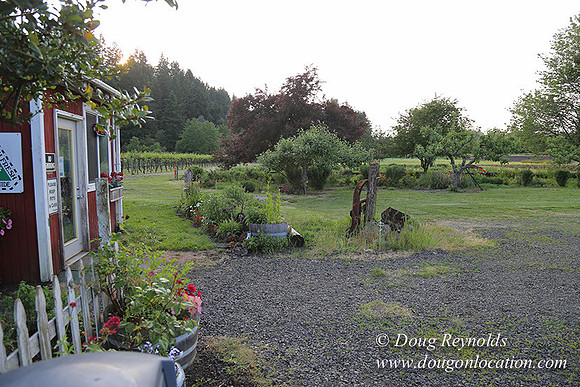 Jim Dandy Farm-5077