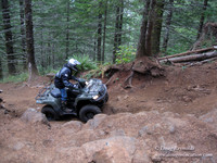 Suzuki ATV Production Photos