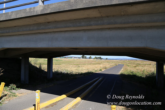 West End S Runway-4927
