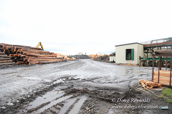 Saw Mill and Lumber Yard