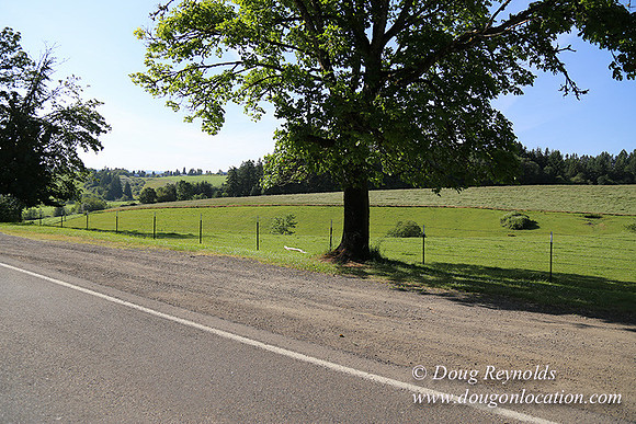 Helvetia rd Church-6035