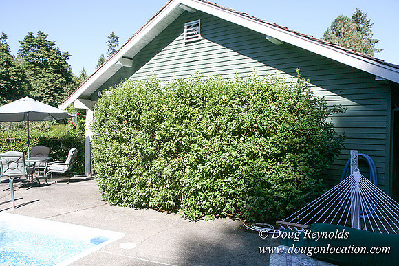 Glinna’s Home Traditional Style County Ranch home, large kitchen great room, 2 car garage on Acreage with large back yard, large front yard, garden, pool, patio, 2 story shop with office,  PDX Zone