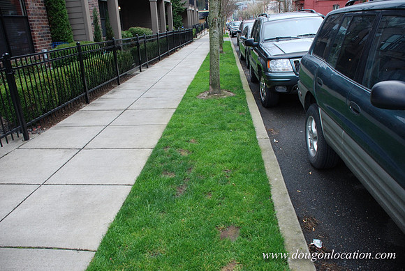 20th Avenue Town Houses-0802