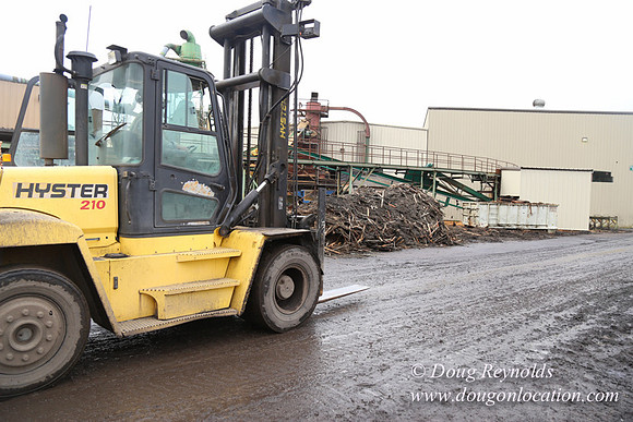 Saw Mill and Lumber Yard
