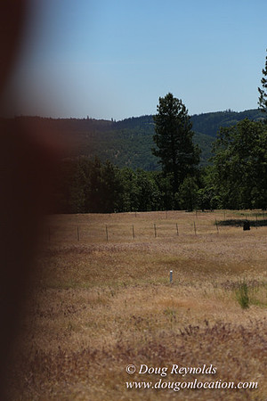 Brothers Ranch-8425