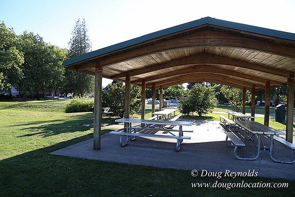 Lincoln Park-0575