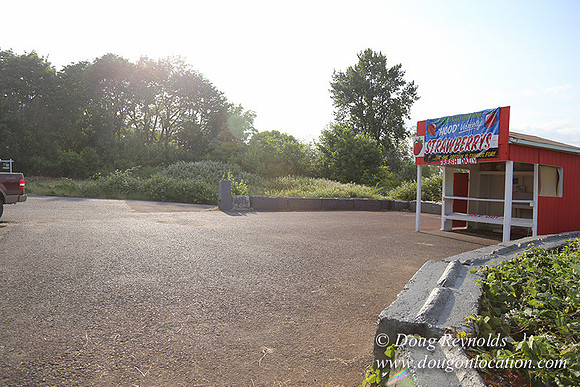 Hood Road Stand-5052