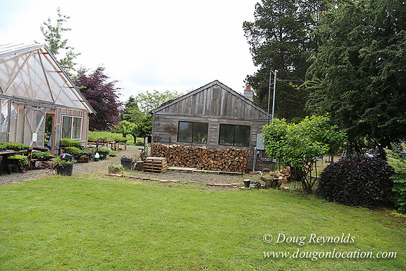 Shere's Garden Flowers & produce