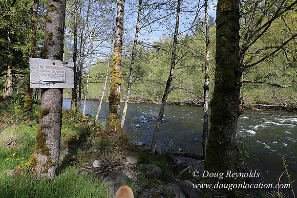 Brians River Side-9870